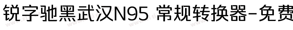 锐字驰黑武汉N95 常规转换器字体转换